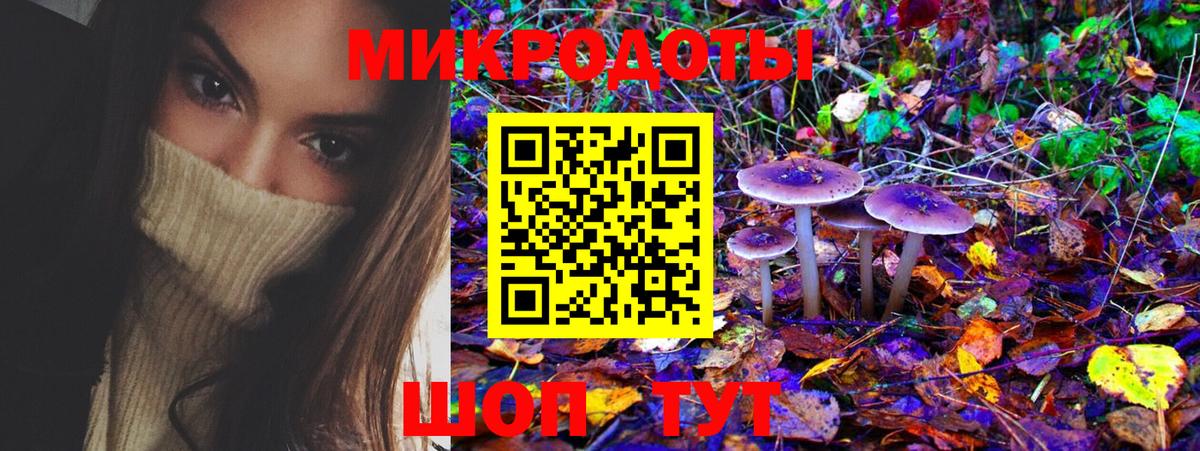 Челябинск  Псилоцибиновые грибы Psilocybine cubensis  Вход с VPN 